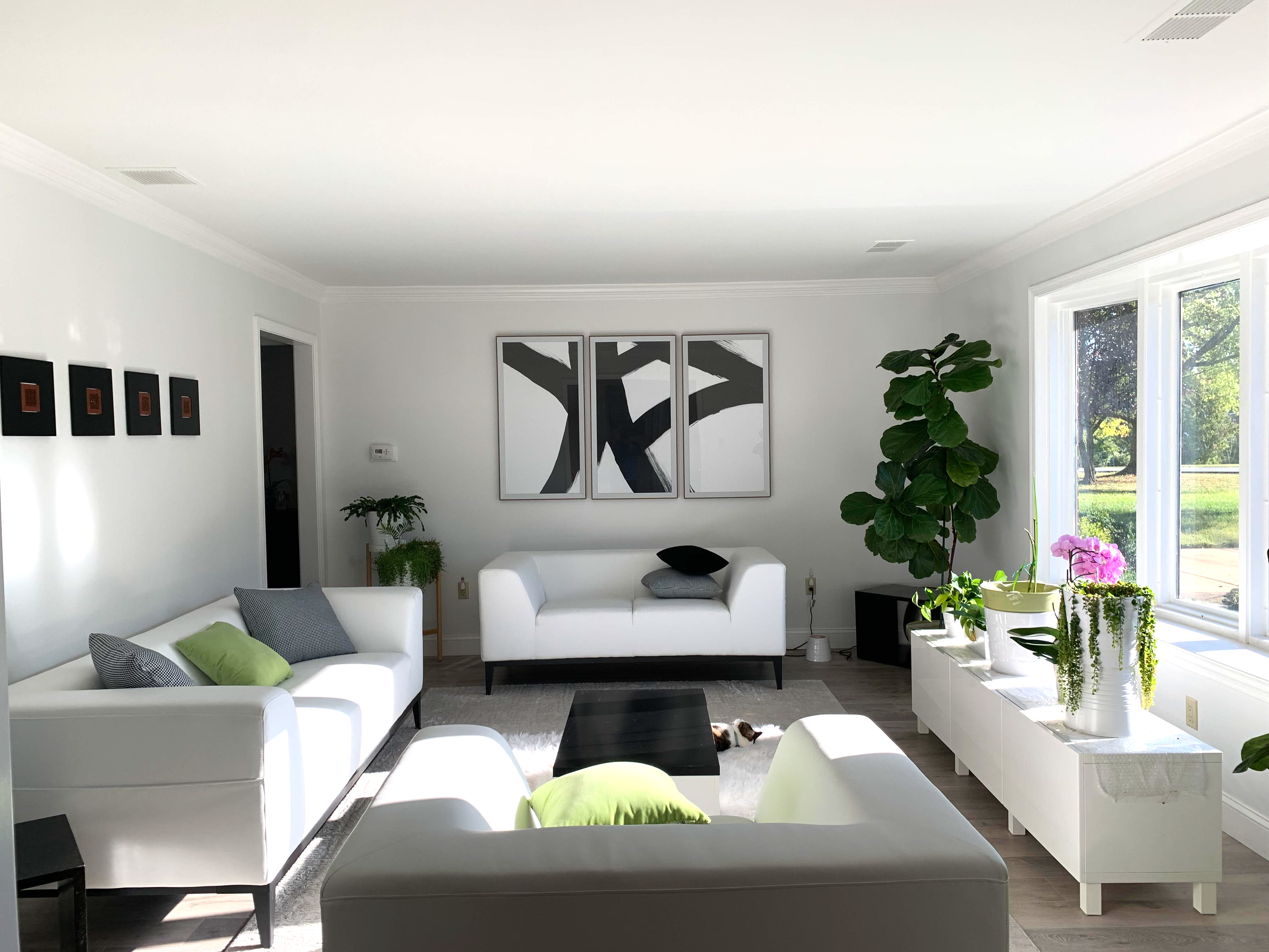 Modern Home
